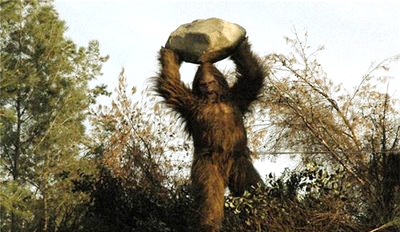 Bigfoot The Definitive Guide A Second Point of View North American Wood Ape Conservancy